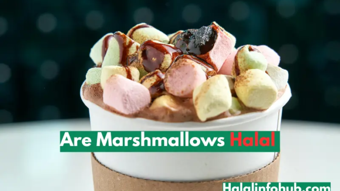 Are Marshmallows Halal? USA & UK Guide for Muslims