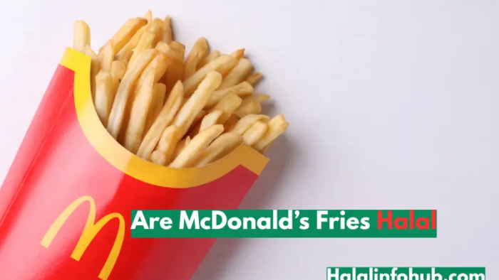 Are McDonald’s Fries Halal