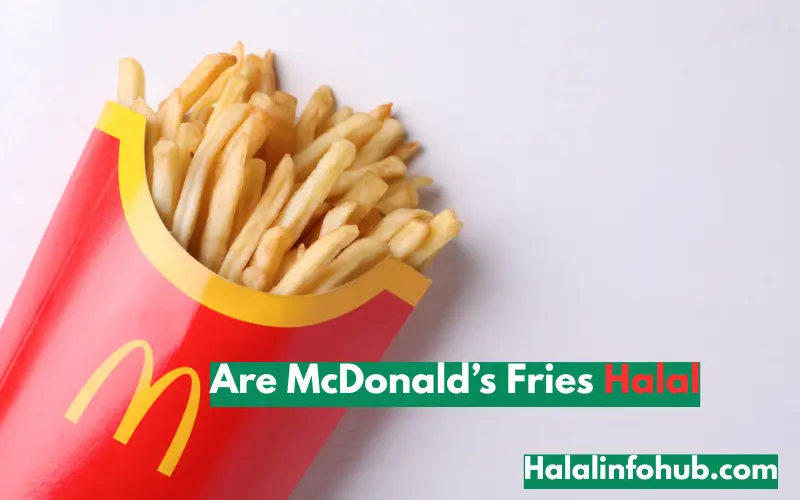 Are McDonald’s Fries Halal
